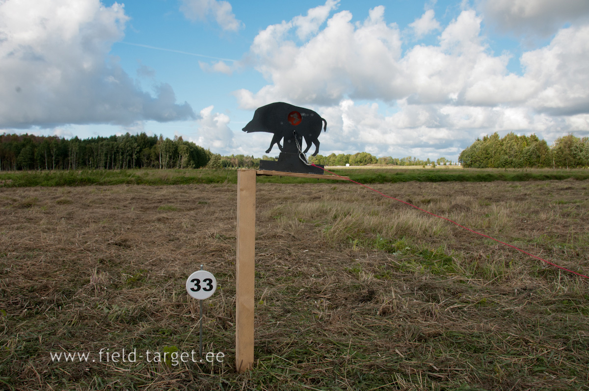 0314   Monel juhul langetas voi tostis eest voi tagant puhuv ristituul